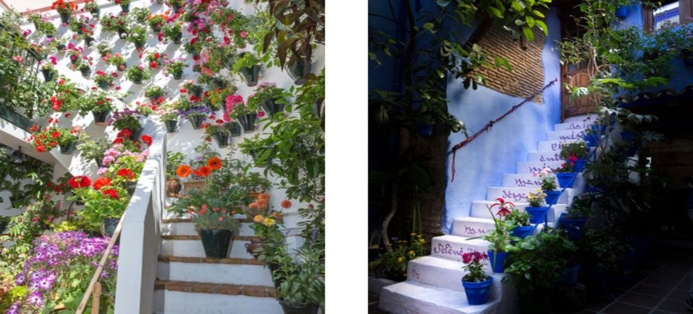 Fiestas y tradiciones de Córdoba