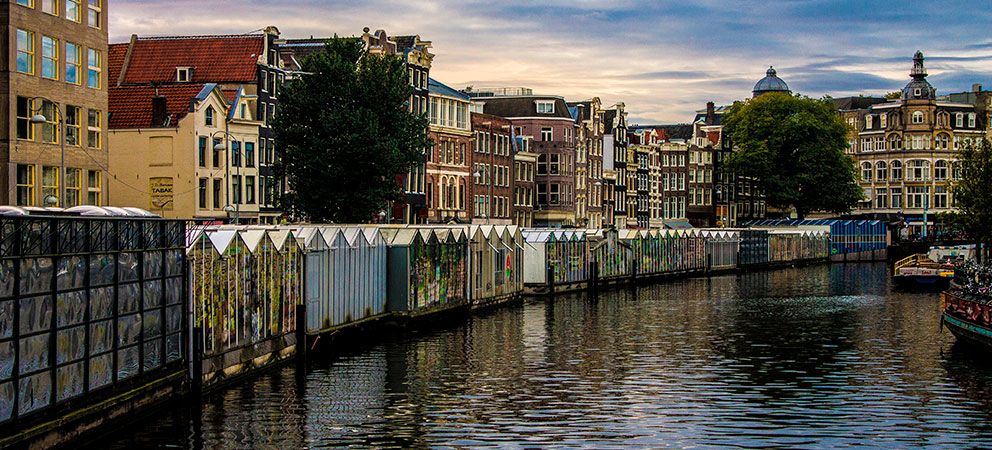 Como es el Mercado de las Flores