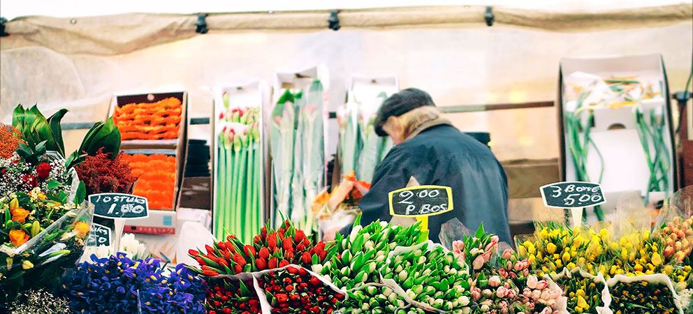 Que ver en tres dias en Amsterdam